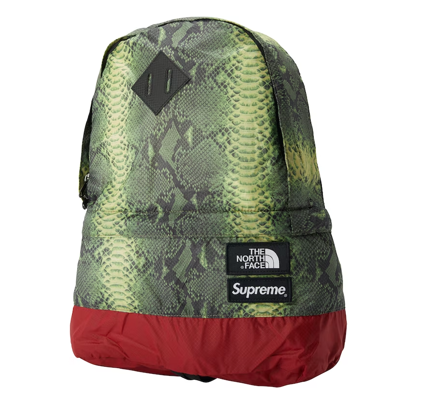 Supreme x The North Face Snakeskin Lightweight Day Pack 'Green'